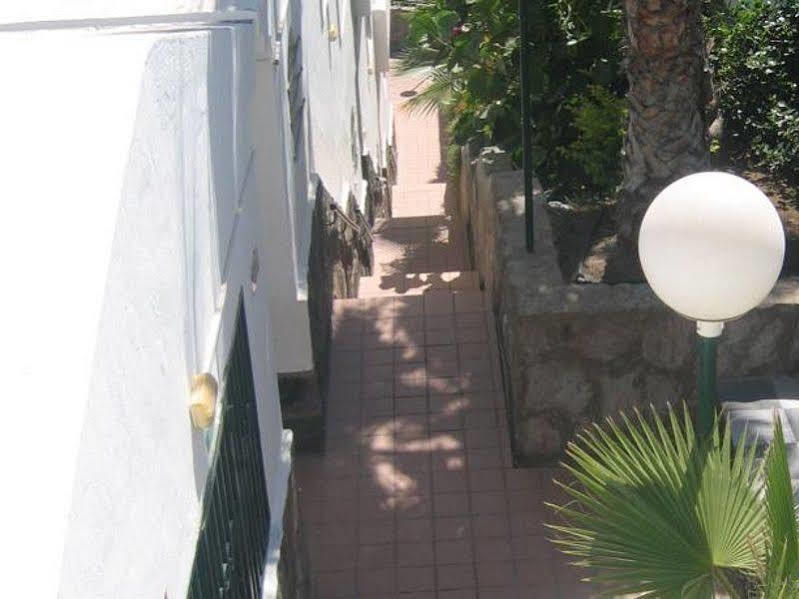 Apartamentos Laguna Puerto Rico  Exteriér fotografie